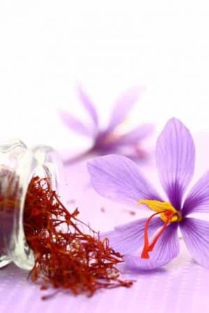 Salonik Iranian Saffron Premium 5 grams