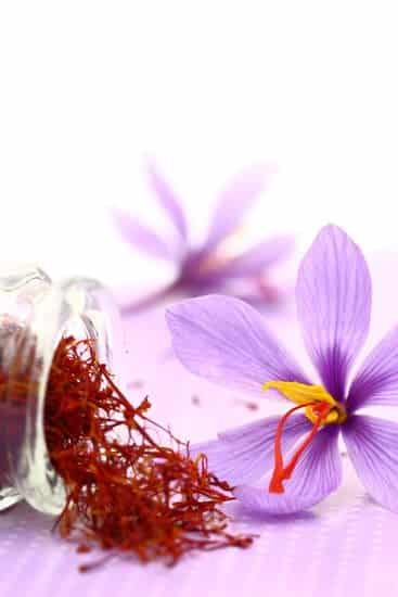 buy saffron